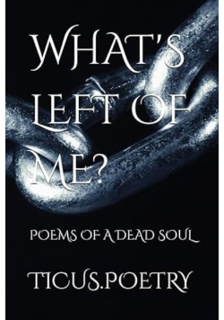 What's Left of Me