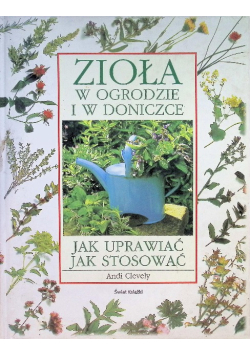 Zioła w ogrodzie w doniczce
