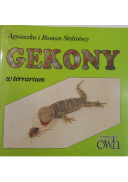 Gekony w terrarium