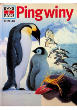 Co i jak Tom 43 Pingwiny