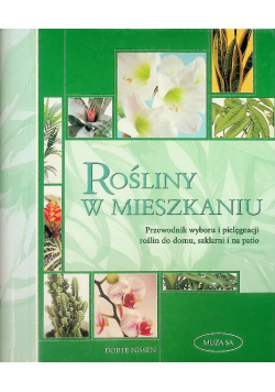 Rośliny w mieszkaniu