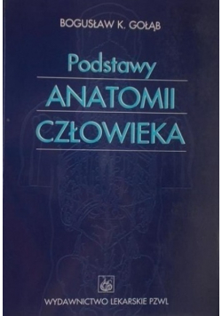 Podstawy anatomii człowieka