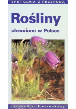 Rośliny chronione w Polsce