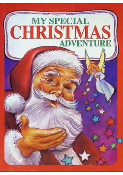 My Special Christmas Adventure