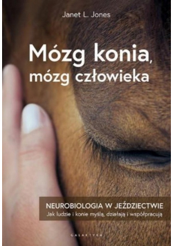 Mózg konia, mózg człowieka