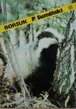 Borsuk