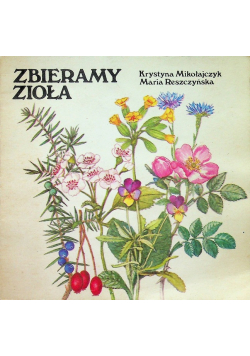 Zbieramy zioła