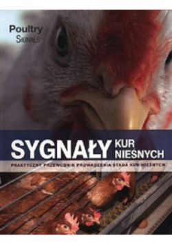 Sygnały kur nieśnych
