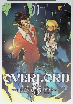 Overlord. Tom 11