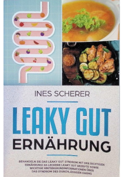 Leaky Gut Ernahrung
