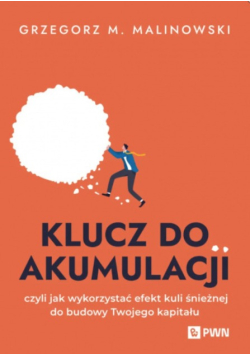 Klucz do akumulacji, czyli jak wykorzystać efekt kuli śnieżnej do budowy Twojego kapitału