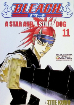 Bleach Tom 11