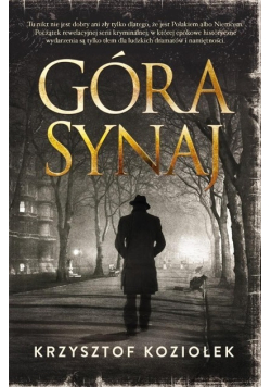 Góra Synaj
