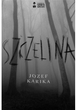 Szczelina
