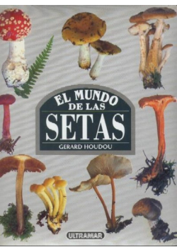El mundo de las setas