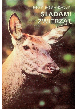 Śladami zwierząt