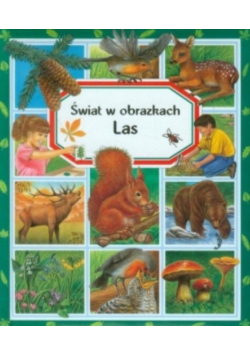 Świat w obrazkach Las