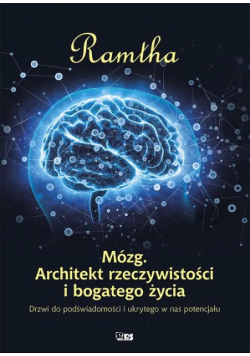 Mózg Architekt Rzeczywistości I Bogatego Życia