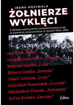 Żołnierze Wyklęci. Z dziejów partyzantki antykomunistycznej w powiecie przeworskim 1944–1956