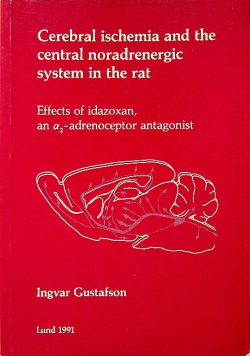 Cerebral ischemia and the central noradrenergic system in the rat