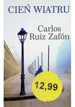 Cień wiatru