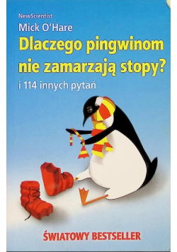 Dlaczego pingwinom nie zamarzają stopy?
