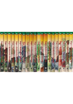 Saga o Królestwie Światła Tom 1 do 20