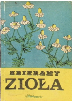 Zbieramy zioła