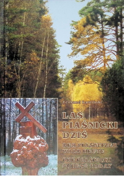 Las Piaśnicki dziś
