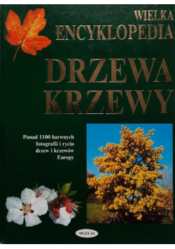 Wielka encyklopedia. Drzewa, krzewy