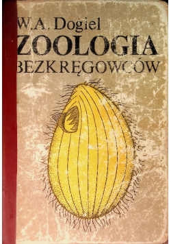 Zoologia bezkręgowców