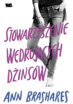 Stowarzyszenie wędrujących dżinsów