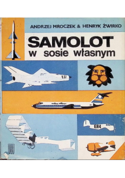 Samolot w sosie własnym