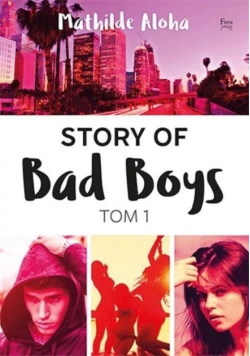 Story of Bad Boys Tom 1