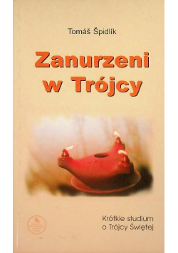 Zanurzeni w Trójcy