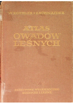Atlas owadów leśnych