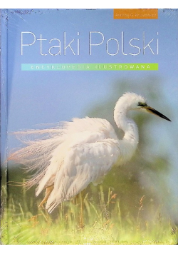 Encyklopedia ilustrowana. Ptaki Polski