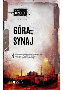 Góra Synaj