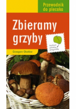 Zbieramy grzyby