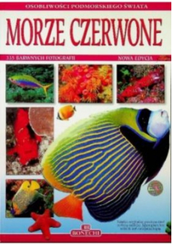Morze Czerwone 335 barwnych fotografii