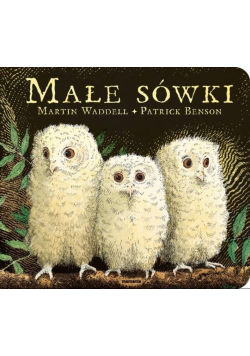 Małe sówki