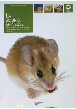 La souris epineuse