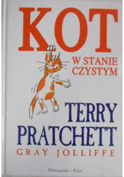 Kot w stanie czystym
