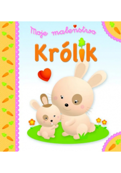Moje maleństwo. Królik
