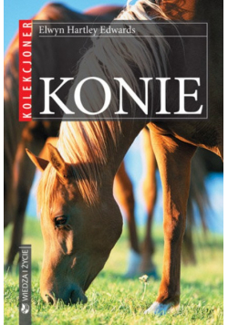 Konie