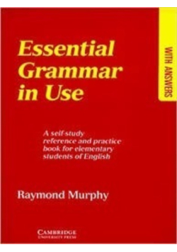 Essential Grammar in use