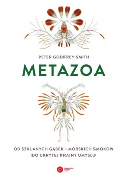 Metazoa