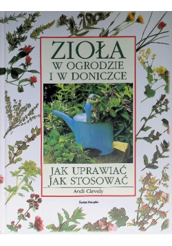 Zioła w ogrodzie w doniczce