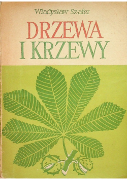 Drzewa i Krzewy