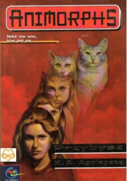 Przybysz